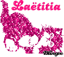 PANIER LAETITIA